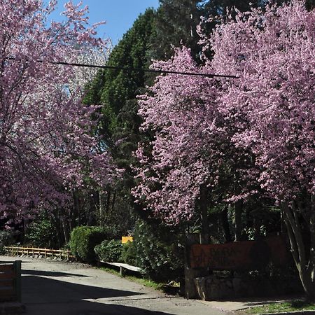 Apart Hotel La Bora San Martín de los Andes 외부 사진
