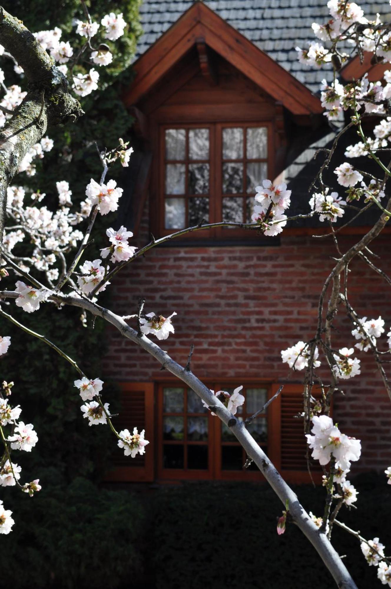 Apart Hotel La Bora San Martín de los Andes 외부 사진