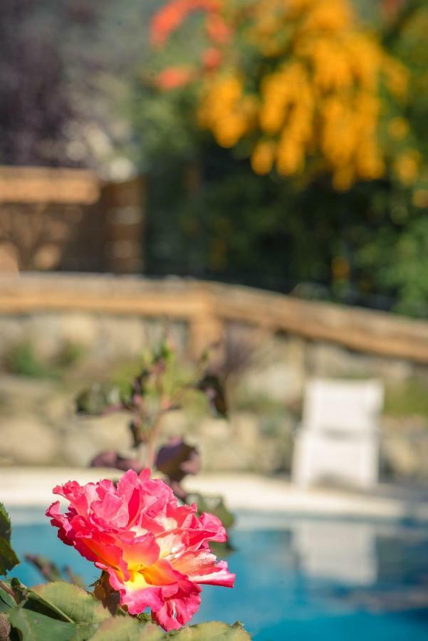 Apart Hotel La Bora San Martín de los Andes 외부 사진
